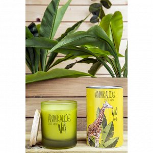 Свеча ароматическая Ambientair, Wild Giraffe, Водная лилия, 40 ч