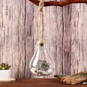 Флорариум «Лампа», с веревкой, d отверстия 5 см, 9x9x13 см, стекло, прозрачный