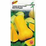 Семена Тыква мускатная &quot;Матильда&quot; select,  10 шт