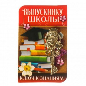 Ключ на открытке «Выпускнику школы»,  5,1 х 8,2 см