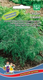 Укроп Скиф (Марс) Новинка! (раннеспелый,высокоурожайный,густооблиственный сорт,повышенная содержание эфирных масел)