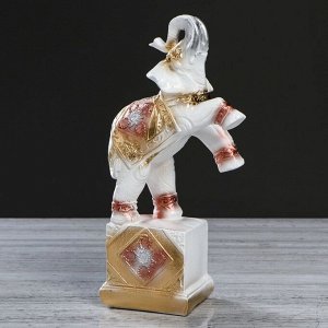 Сувенир "Слон на кубе", белый, покрытие лак, гипс, 31 см