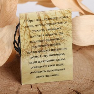 Славянский оберег из ювелирной бронзы "Стрибожич"