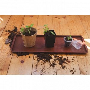 Поддон для рассады, 48x14x2 см, пластик, цвет МИКС