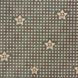Бумага упаковочная крафтовая «Звезды 23 февраля», 50 × 70 см