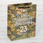 Пакет ламинированный вертикальный «С днём Защитника Отечества, 23 февраля», ML 23 ? 27 ? 8 см