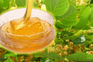 Мёд натуральный цветочный "Липовый"