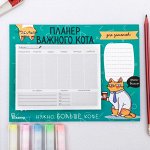 Планер на магнитах &quot;Планер важного кота&quot;, 15 х 20 см (размер части для заполнения 10 х 13 см)