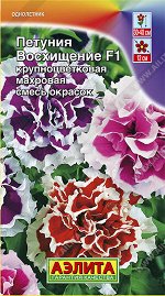 Петуния Восхищение F1 крупноцветковая махровая, смесь окрасок (2023; 161.251.19)