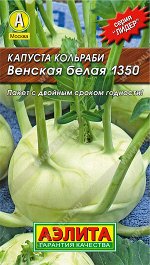 Капуста кольраби Венская белая 1350 (2023; 08.22.34)