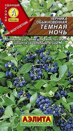 Черника обыкновенная Темная ночь (2023; 17.233.08)