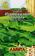 Щавель Изумрудный король (2023; 32.05.02)