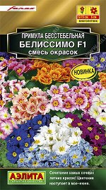 Примула Белиссимо F1, смесь окрасок