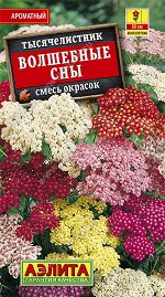 Тысячелистник Волшебные сны, смесь окрасок (2023; 191.06.03)