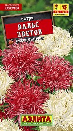 Астра Вальс цветов, смесь окрасок (2023; 50.178.20)