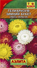 Гелихризум Зимний букет, смесь окрасок (2023; 92.01.39)