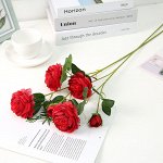 Ветка роз
