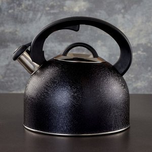 Чайник со свистком Доляна Snow, 3 л, индукция, цвет чёрный