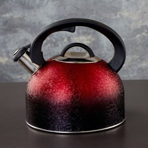 Чайник со свистком Доляна Snow,3 л, индукция, цвет красный