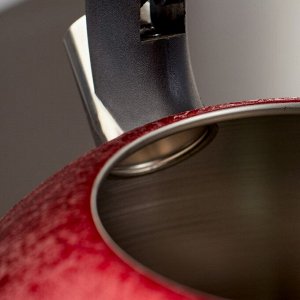 Чайник со свистком Доляна Snow,3 л, индукция, цвет красный