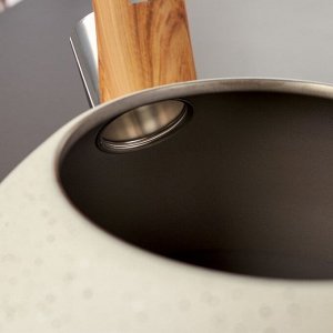 Чайник со свистком Magistro Stone, 2,7 л, ручка soft-touch, индукция, цвет бежевый