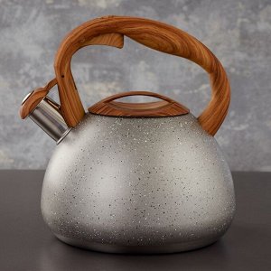 Чайник со свистком Stone, 2,7 л, ручка soft-touch, индукция, цвет серый