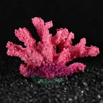 Декоративный коралл Синулярия, 10 х 5 х 6,5 см