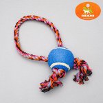 Игрушка канатная с мячом и регулируемым канатом, до 100 г, микс цветов