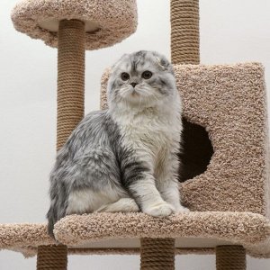 Комплекс для кошек "Лестница", 56 х 52 х 140 см, ковролин, джут, микс цветов