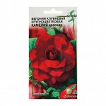 Семена цветов Бегония крупноцвет &quot;Камелия&quot;,  красная,     10 шт