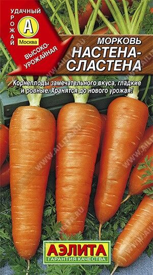 Морковь Настена-сластена 2г