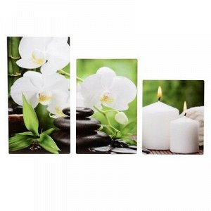 Картина модульная на подрамнике "Орхидея со свечами" 30х35,30х46,30х56 см; 90х56 см