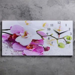 Часы настенные, серия: Цветы, на холсте "Орхидеи", 40х76 см, микс