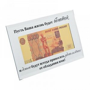 Купюра 5000 рублей в рамке "Пусть ваша жизнь будет богатой...", 19,5 х 11,5 см