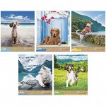 Тетрадь 40л., А5, клетка ArtSpace &quot;Питомцы. Собаки. My best friend&quot;