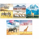 Тетрадь 80л., А5, клетка ArtSpace &quot;Животные. Wild and cute&quot;, ВД-лак