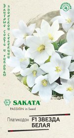 Платикодон Звезда белая F1, крупноцвет. 5 шт. Саката Н19
