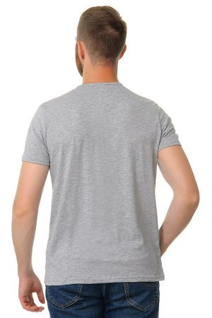 ФМИ-КР Мужская футболка ФЛАМЛИ - короткий рукав (Серый)