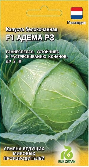 Капуста белокоч. Адема РЗ F1 10 шт. ранняя  (Голландия)