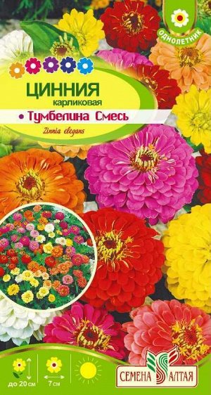 Цинния Тумбелина смесь Карликовая/Сем Алт/цп 0,2 гр.