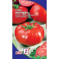 Томат мечта великана. Семена томат мечта великана. Помидоры сорт мечта великана. Томат Land Ханский великан.