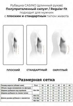 C210/157/064/Z, Сорочка мужская длинный рукав