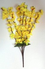 Сакура &quot;Оливия&quot;