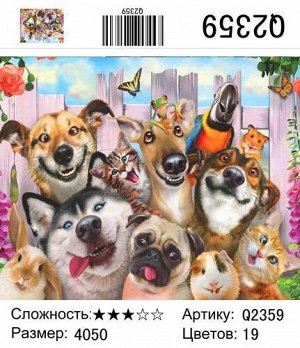 РН Q2359 "Веселые собаки", 40х50 см