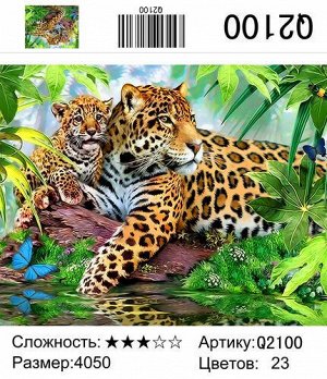 РН Q2100 "Пара леопардов в зелени", 40х50 см