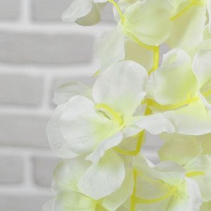 Цветы искусственные "Вистерия" 160 см, белая(длина веточек с цветком 2х90см, 1х60см)
