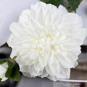 Цветы искусственные "Георгин Эвелин" 14*68 см, белый