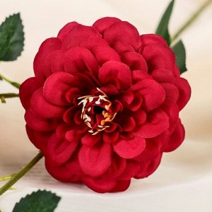 Цветы искусственные "Роза Амбра" 8*54 см, бордовый