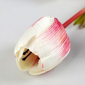 Цветы искусственные "Тюльпан Аморета" 4*90 см,( размер бутона 6х4см)  белый с малиновым
