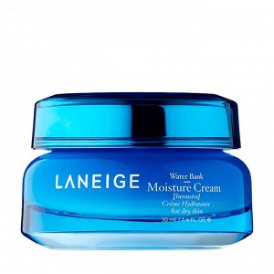 LANEIGE Увлажняющий крем с ледниковой водой Water Bank Moisture Cream